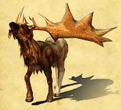 De Megaloceros