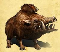 De Wild Boar