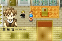 Harvest Moon: Friends of Mineral Town