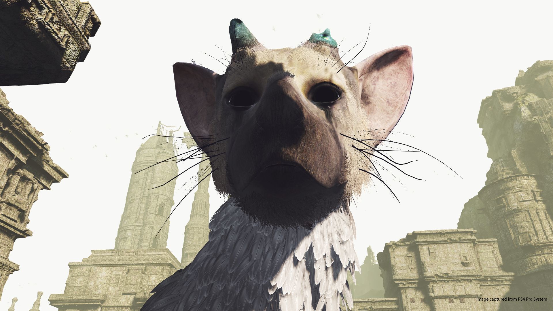 Last shop guardian vr