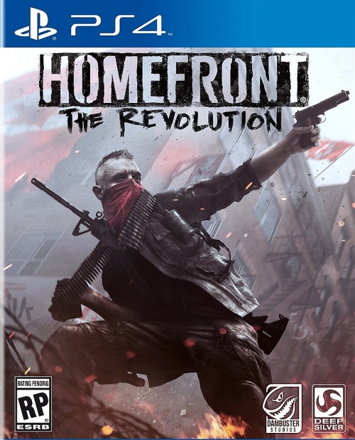Amerikaanse Boxart