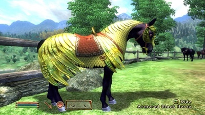 Omdat dit clich je doet hopen dat er DLC was, een fotootje van een paard als tegendosis.